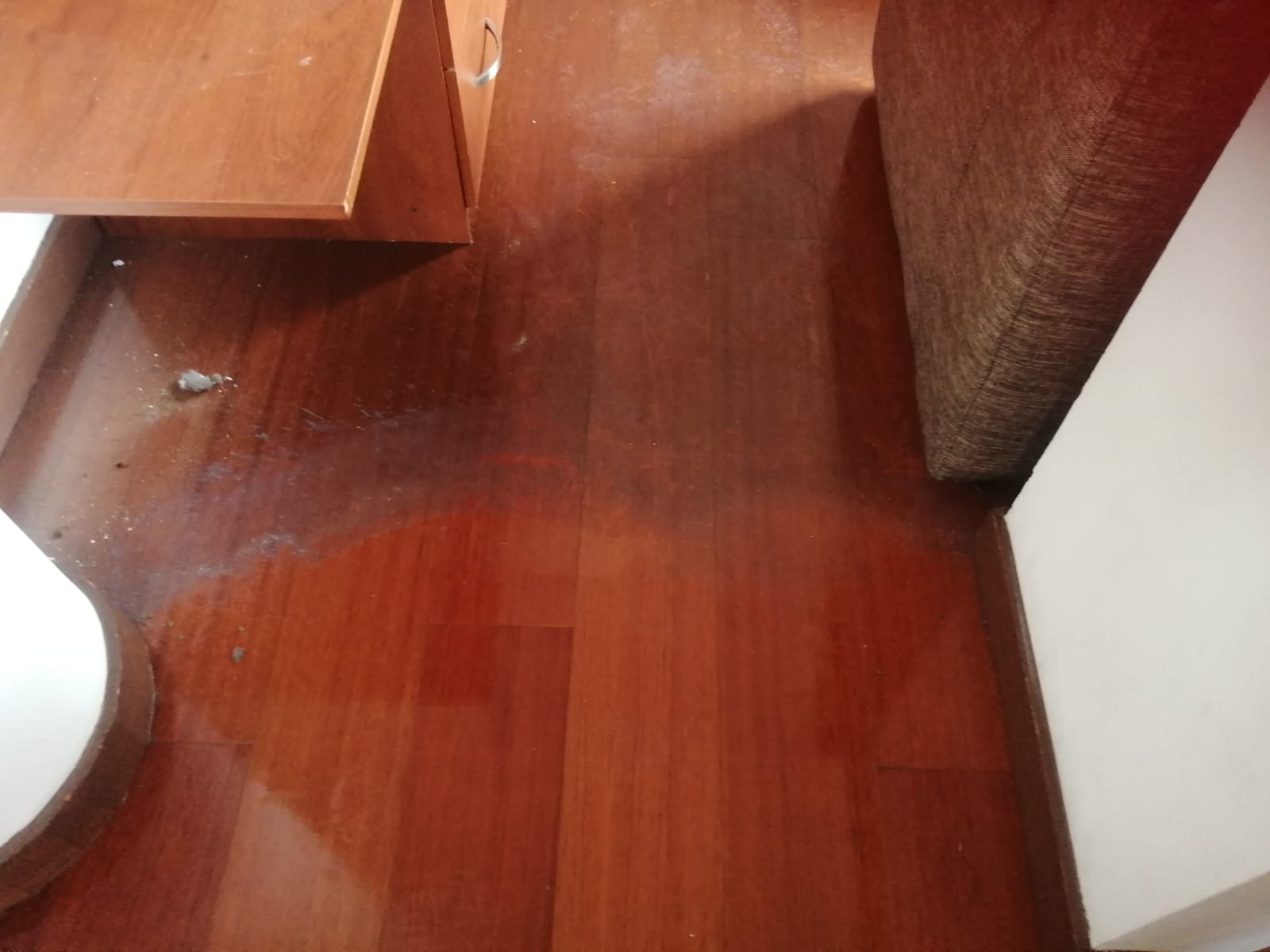 Piso laminado durante un proceso profesional de cuidado